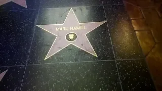 Mark Hamill Star - Hollywood Walk of Fame