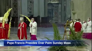 Pope Francis presides over Palm Sunday Mass