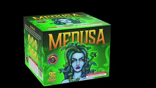 GREAT GRIZZLY | MEDUSA | 500 GRAM CAKES