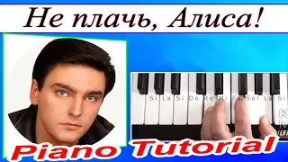 «Не плачь, Алиса!»~Андрей Державин~Урок для синтезатора~Текст и аккорды Em~DEMO Korg style free