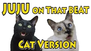 JuJu On That Beat - Cat Version (Official Music Video)