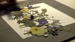 Pressed Flowers