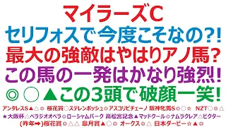 マイラーズカップ2024予想　セリフォスで今度こそなのか？！ 最大の強敵は、やはりアノ馬？ この馬の一発は、かなり強烈。◎○▲この3頭で破顔一笑！