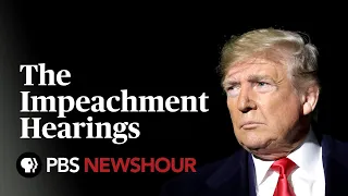 WATCH: The Trump Impeachment Hearings – Day 3 - Williams, Vindman, Volker and Morrison testify