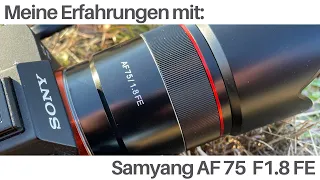 Meine Erfahrungen mit dem Objektiv Samyang AF 75mm F1.8 FE für Sony e Mount