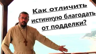 КАК ОТЛИЧИТЬ ИСТИННУЮ БЛАГОДАТЬ ОТ ПОДДЕЛКИ? Священник Игорь Сильченков.