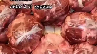 Рацион питания собаки Мони и пенсионерки