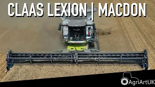 Wheat harvest with a Claas Lexion 8800 and MacDon header