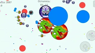 SOLO GAMEPLAY IN AGAR.IO MOBILE   Cyka Kris / not bad moments