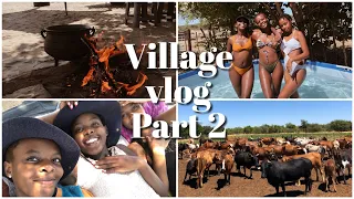 Village vlog |Christmas day,foraging and a whole lot of fun|Namibian Youtuber