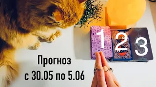 Что Вас ожидает на этой неделе?🍀 с 30.05 по 5.06 🐚