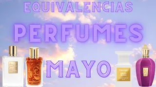 Perfumes Mayo equivalencias 🌹🍃 || Nicho , diseñador y más || #perfume #esenzzia #equivalencias