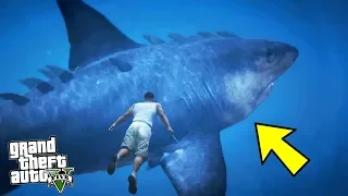 Encontré al Megalodon en GTA 5 y Esto Sucedió... Grand Theft Auto V Misterios