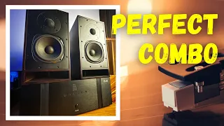 Speakers & Amplifiers: What happens when the synergy is perfect?