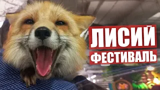 ЛИСИЙ ФЕСТИВАЛЬ ✅ Тискаем пушистиков на Fox Family Fest