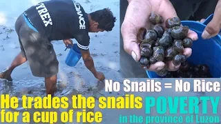 Travel to the Philippines. Meet the Filipino Man Who Trades SNAILS for a CUP OF RICE. Rural Area