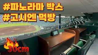 【일본 야구⚾️】 한신 고시엔구장 시즌권 좌석 탐방 EP.1 | 2024.04.20 | 파노라마 박스 | 고시엔 100주년 | 한신 타이거스🐯