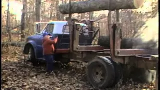Logging Mules