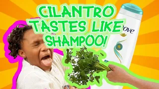 Why does CIlantro taste like Shampoo? Science behind Cilantro.