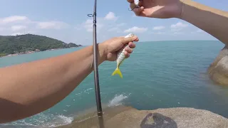 Тайланд, Самуи. Попытка поймать рыбу. Январь 2019