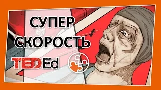 🔶 Супергерои: Супер скорость [TED-Ed на русском]