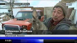 В Карагандинской области животновод при продаже кроликов заработал на автомобиль
