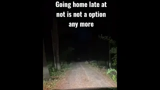 Woman has a scary encounter with something screaming in the woods