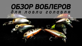 Обзор воблеров для ловли голавля [FishMasta.ru]