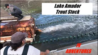 Fishing Schools of Trout at Lake Amador  🐠🐠🐠 CML_Jigs