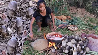 Pick mushroom and Fish soup spicy chili with mushroom for dinner - Survival cooking