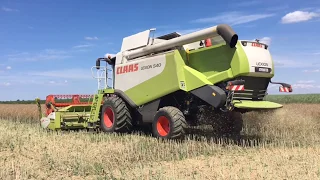 Żniwa Opolskie 2018 | zbiór rzepaku | Claas LEXION 540