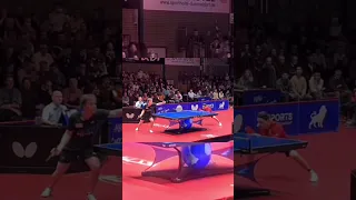 Truls Moregardh vs Timo Boll credits: @AlexanderMinin #tabletennis #sport #trulsmoregard #timoboll