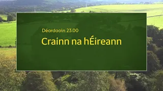 Crainn na hEireann | Déardaoin 23.00 | 07/06 | TG4