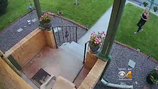 Woman Caught Stealing Lawn Decorations: 'Why Take My Flowers?'