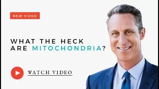 What the Heck are Mitochondria?