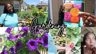 May 2024 Garden Transformation 🪴 Planting Zinnias and Lettuce 🌸 Plant and Garden with me | Zone 8a