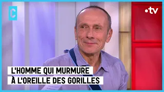 L’homme qui murmure à l’oreille des gorilles - C l’hebdo - 23/06/2023