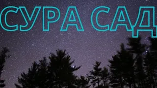 Сура Сад.Сальман аль-Утайби