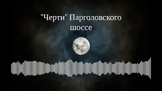 Аудиокнига И. Путилин. "40 лет среди убийц и грабителей". Глава "Черти" Парголовского шоссе".