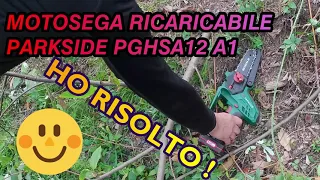 MOTOSEGA RICARICABILE PARKSIDE Prova in campo reale utilizzo