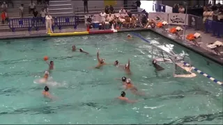 Sole Fratila waterpolo highlights