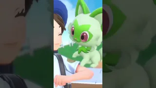 Sprigatito is so cute❤️Pokémon Scarlet and Violet