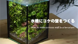 How to make a moss wall in a terrarium #10