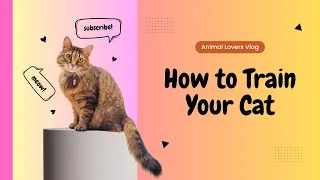 Is Your Cat Smarter Than You Think? Unlock Their Hidden Potential!