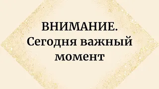 ВНИМАНИЕ. Сегодня важный момент.