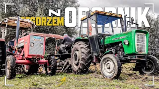 ☆Rozrzucanie Obornika 2022!✔siątka i Case w akcji▶Agro Barti CZYTAJ OPIS!!