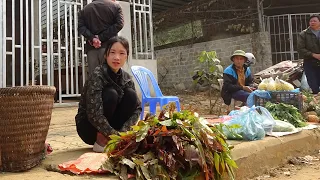 Help Duong take care of the farm, harvest wild vegetables and bring them to the market