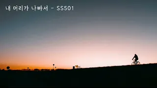 내 머리가 나빠서 (꽃보다남자OST) - SS501(더블에스오공일) (가사ㅇ) 2009