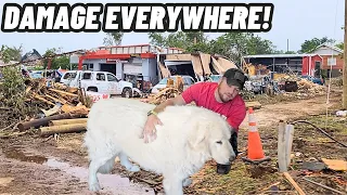 GUARD DOGS HOMETOWN WAS DESTROYED BY A MASSIVE TORNADO!
