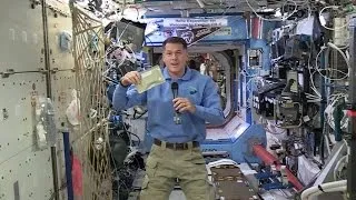 NASA astronauts celebrate Thanksgiving in space